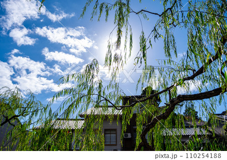 【#城崎温泉】温泉街の町並み 110254188