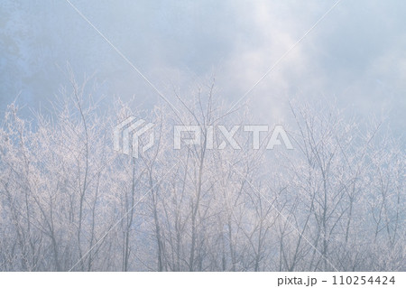 《長野県》霧氷の自然風景・冬の白馬村 110254424