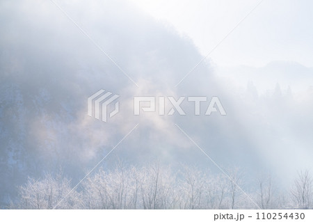 《長野県》霧氷の自然風景・冬の白馬村 110254430