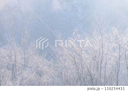 《長野県》霧氷の自然風景・冬の白馬村 《長野県》霧氷の自然風景・冬の白馬村 110254431