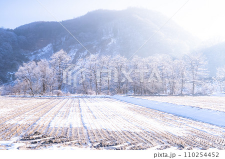 《長野県》霧氷の自然風景・冬の白馬村 《長野県》霧氷の自然風景・冬の白馬村 110254452