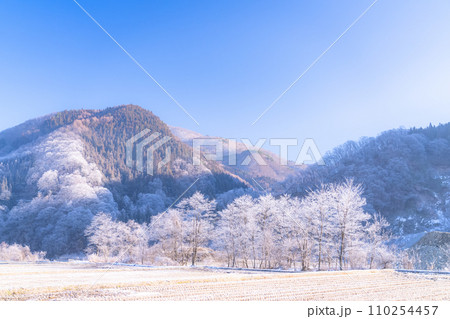 《長野県》霧氷の自然風景・冬の白馬村 110254457