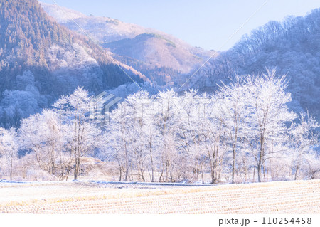 《長野県》霧氷の自然風景・冬の白馬村 110254458