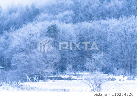 《長野県》霧氷の自然風景・冬の白馬村 《長野県》霧氷の自然風景・冬の白馬村 110254526