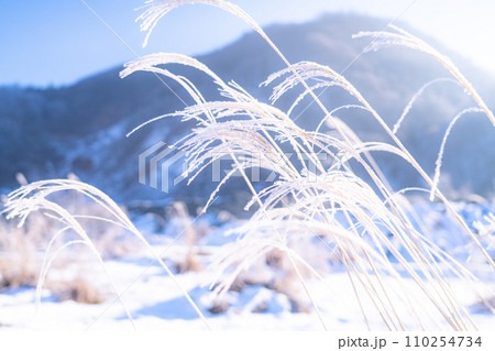 《長野県》霧氷の自然風景・冬の白馬村 110254734
