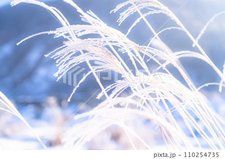 《長野県》霧氷の自然風景・冬の白馬村 110254735