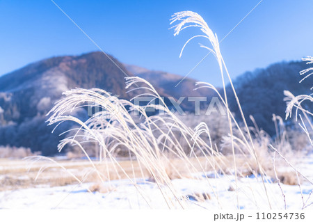 《長野県》霧氷の自然風景・冬の白馬村 110254736