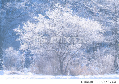 《長野県》霧氷の自然風景・冬の白馬村 110254768
