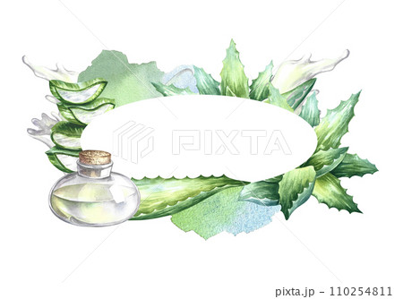 Aloe vera. A useful gel for skin care. Oval frame for the inscription. Watercolor illustration. For labels and packaging of cosmetology, perfumery and medicine. Also for the food industry. Aloe vera. A useful gel for skin care. Oval frame for the inscription. Watercolor illustration. For labels and packaging of cosmetology, perfumery and medicine. Also for the food industry. 110254811