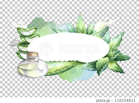 Aloe vera. A useful gel for skin care. Oval frame for the inscription. Watercolor illustration. For labels and packaging of cosmetology, perfumery and medicine. Also for the food industry. Aloe vera. A useful gel for skin care. Oval frame for the inscription. Watercolor illustration. For labels and packaging of cosmetology, perfumery and medicine. Also for the food industry. 110254811