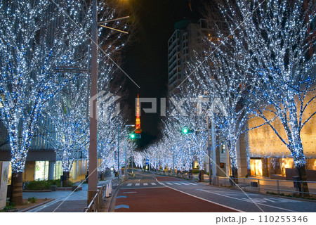 静寂の六本木けやき坂イルミネーション（人物、駐車車両なしバージョン） 110255346