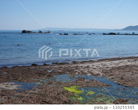 江見散策 江見散策 110255385