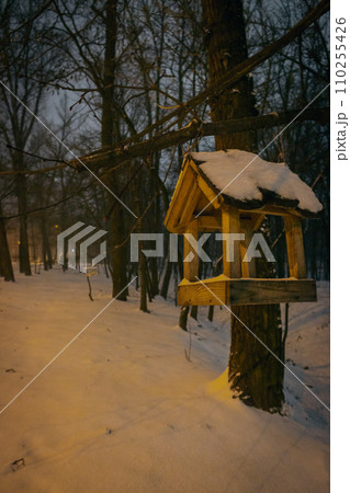 Bird feeder in snowy forest. Wooden bird house in winter park in the evening. Animal care concept. Handmade bird feeder in snow on the tree. Wintertime concept. Winter landscape. Wildlife protection. Bird feeder in snowy forest. Wooden bird house in winter park in the evening. Animal care concept. Handmade bird feeder in snow on the tree. Wintertime concept. Winter landscape. Wildlife protection. 110255426