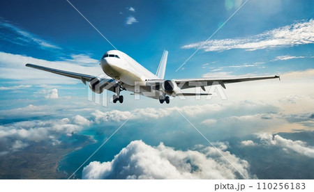 空を飛ぶ飛行機 空を飛ぶ飛行機 110256183