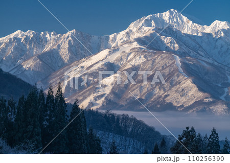 《長野県》雪景色の北アルプスの夜明け・冬の白馬村青鬼集落の眺望 110256390