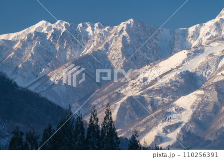 《長野県》雪景色の北アルプスの夜明け・冬の白馬村青鬼集落の眺望 110256391