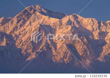《長野県》雪景色の北アルプスのモルゲンロート・冬の白馬村 110256536