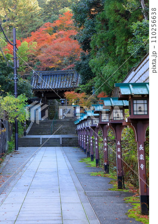 秋の長楽寺 紅葉と山門 秋の長楽寺 紅葉と山門 110256638