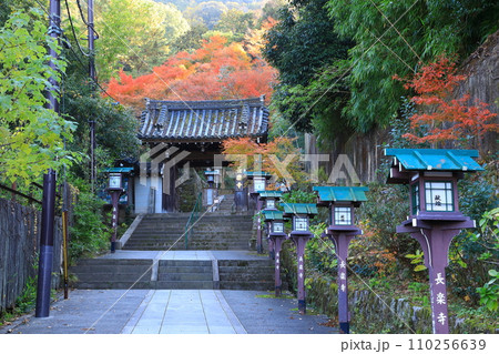 秋の長楽寺 紅葉と山門 秋の長楽寺 紅葉と山門 110256639