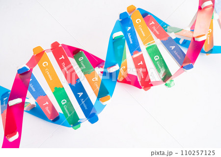 DNA or Deoxyribonucleic acid is a double helix chains structure formed by base pairs attached to a sugar phosphate backbone. DNA or Deoxyribonucleic acid is a double helix chains structure formed by base pairs attached to a sugar phosphate backbone. 110257125