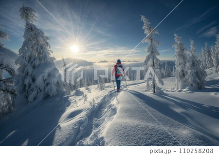 Back view of mountaineer ski waling on a snow-covered mountainside, surrounded by a serene winter landscape. The image captures the beauty and tranquility of the snowy mountain environment. 110258208
