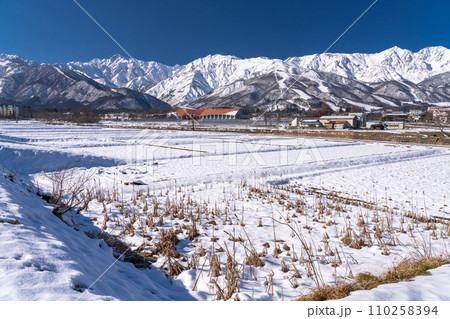 《長野県》雪景色の北アルプス・冬の白馬村 110258394
