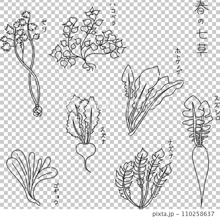 手繪春天的花朵 手繪春天的花朵 110258637