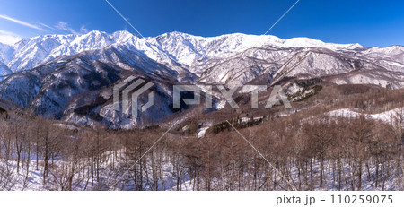 《長野県》雪景色の北アルプス・冬の白馬村 110259075