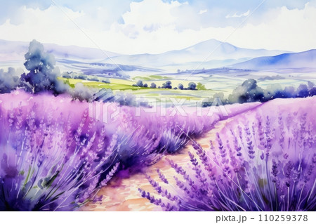 Blooming fields of purple lavender Blooming fields of purple lavender 110259378
