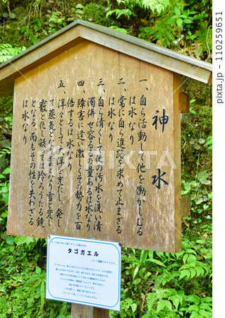 京都　貴船神社　本宮　御神水（京都府京都市） 110259651