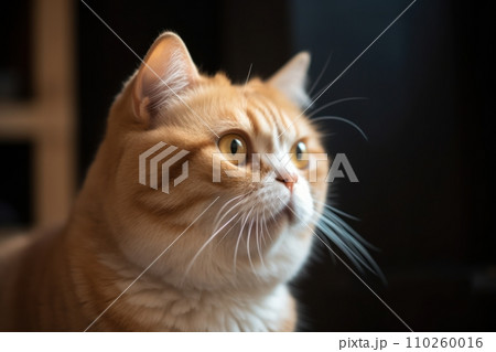 AI-generated content. Portrait of a cute cat looking away. Savannah cat breed 110260016