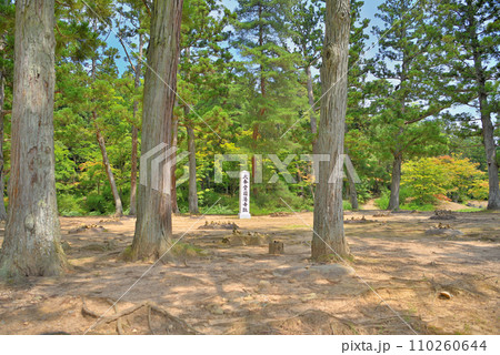 東北・平泉・毛越寺浄土庭園・寺の中心となる伽藍、金堂円隆寺の跡・岩手県平泉町(2) 東北・平泉・毛越寺浄土庭園・寺の中心となる伽藍、金堂円隆寺の跡・岩手県平泉町(2) 110260644