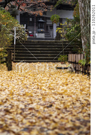 鎌倉12月　安国論寺10　紅葉 110262011