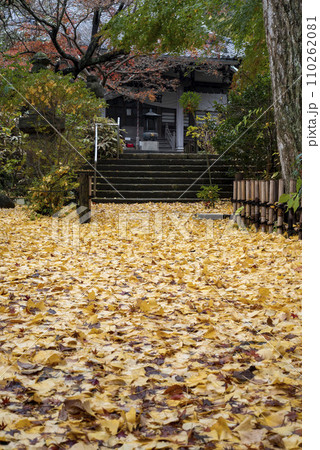 鎌倉12月　安国論寺13　紅葉 110262081