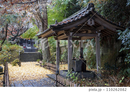 鎌倉12月　安国論寺14　紅葉 110262082