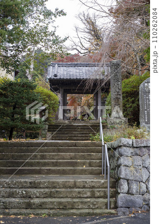 鎌倉12月 安国論寺15 紅葉 鎌倉12月 安国論寺15 紅葉 110262084