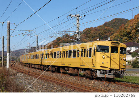 115系電車 115系電車 110262768