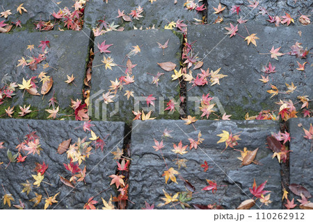 鎌倉12月 妙本寺10 鎌倉12月 妙本寺10 110262912