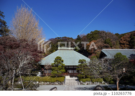 鎌倉12月　浄明寺6 110263776