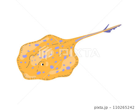 Stingray tail sea fish hand drawn vector illustration 110265242
