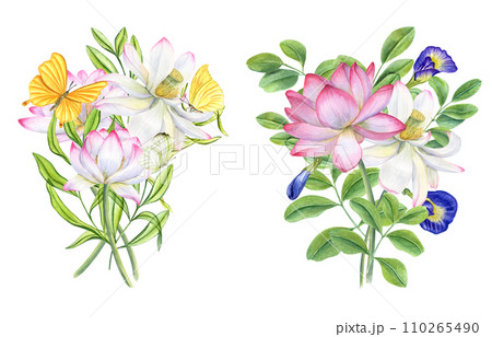 Bouquets of pink lotus flowers, blue clitoria ternatea, green leaves. Yellow butterflies fluttering around blooming waterlilies. Lotus, anchan. Bud, flower, leaf, stem. Watercolor illustration 110265490