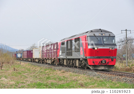 根室本線　新得ー十勝清水　JR貨物　DF200-3（鷲別） 110265923