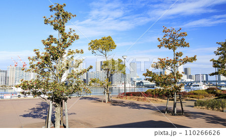 豊洲市場からみた東京港 110266626