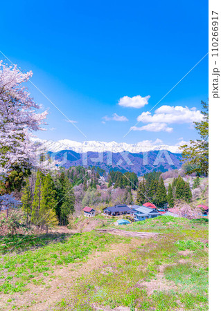 【春素材】春の絶景・小川村番所の桜【長野県】 【春素材】春の絶景・小川村番所の桜【長野県】 110266917
