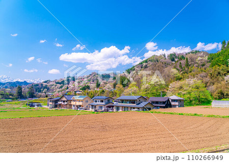 【里山の春】小川村・二反田の桜【長野県】 110266949