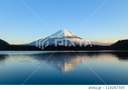 精進湖に映る冬の逆さ富士 110267305