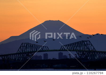 富士山とゲートブリッジ　夕景 110267794