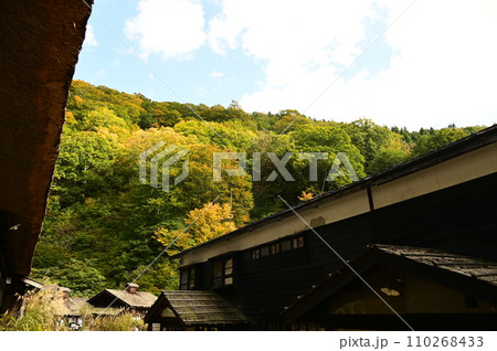 乳頭温泉郷 秘湯鶴の湯温泉 乳頭温泉郷 秘湯鶴の湯温泉 110268433