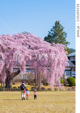 杵原学校の枝垂れ桜 杵原学校の枝垂れ桜 110269339