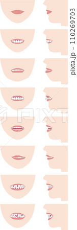 歯並び、歯列の不正咬合の種類。正面の顔と横顔のベクターイラスト 110269703